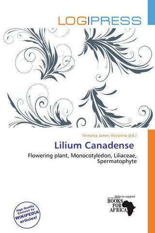 Lilium Canadense