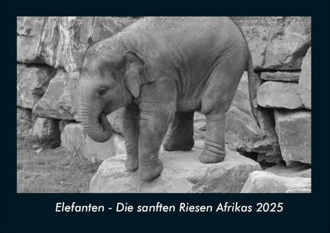 Elefanten - Die sanften Riesen Afrikas 2025 Fotokalender DIN A4