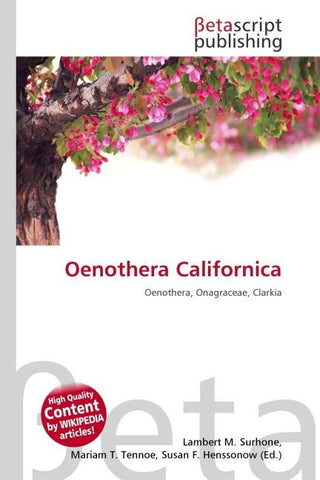 Oenothera Californica