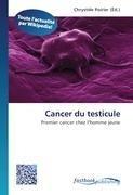 Cancer du testicule