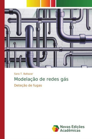 Modelação de redes gás