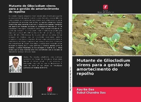 Mutante de Gliocladium virens para a gestão do amortecimento do repolho