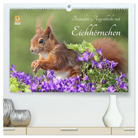 Besondere Augenblicke mit Eichhörnchen (hochwertiger Premium Wandkalender 2026 DIN A2 quer), Kunstdruck in Hochglanz