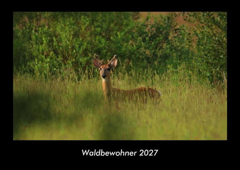 Waldbewohner 2027 Fotokalender DIN A3