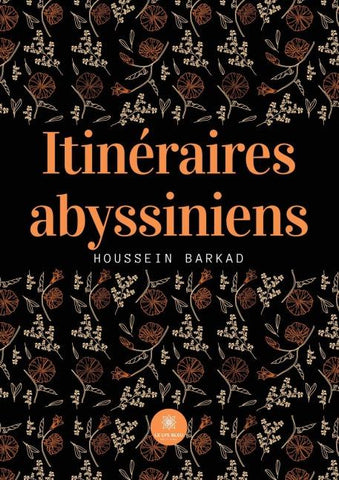 Itinéraires abyssiniens
