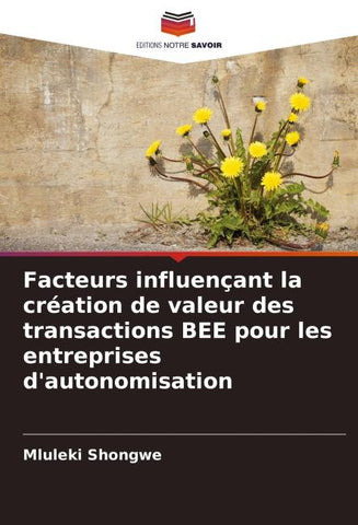 Facteurs influençant la création de valeur des transactions BEE pour les entreprises d'autonomisation