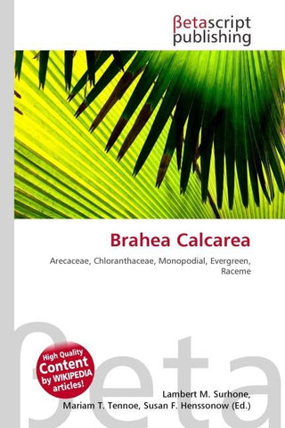 Brahea Calcarea