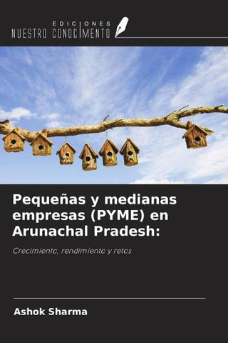 Pequeñas y medianas empresas (PYME) en Arunachal Pradesh: