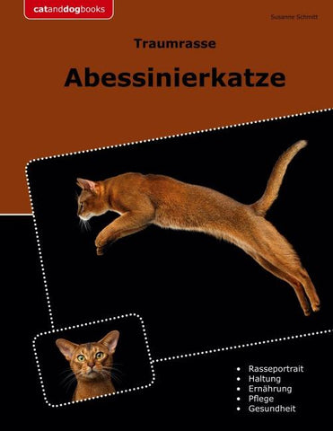 Traumrasse Abessinierkatze