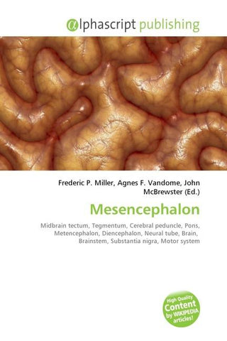 Mesencephalon