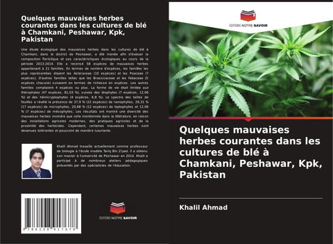Quelques mauvaises herbes courantes dans les cultures de blé à Chamkani, Peshawar, Kpk, Pakistan