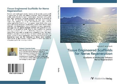 Tissue Engineered Scaffolds for Nerve Regeneration
