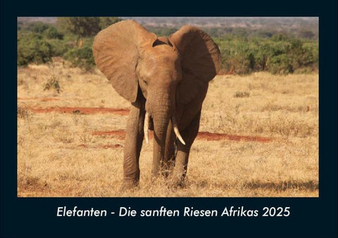 Elefanten - Die sanften Riesen Afrikas 2025 Fotokalender DIN A4