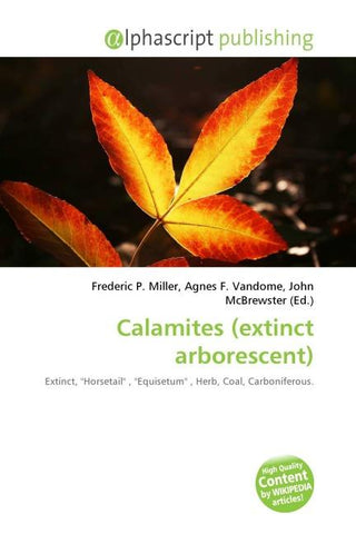 Calamites (extinct arborescent)