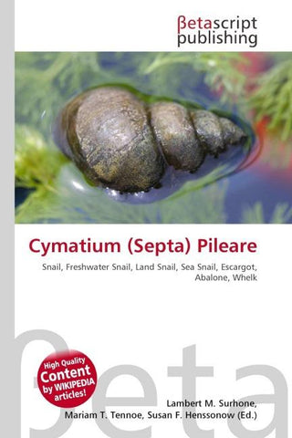 Cymatium (Septa) Pileare