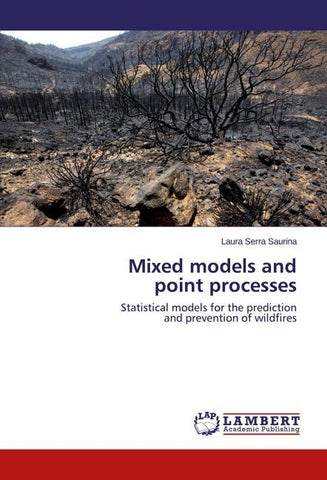 Mixed models and point processes