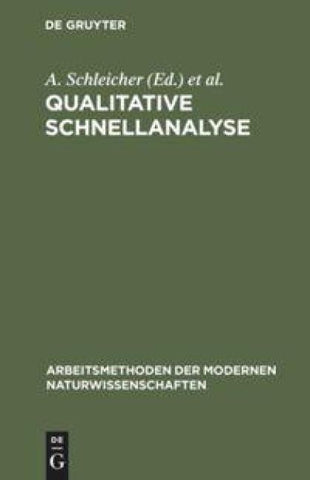 Qualitative Schnellanalyse