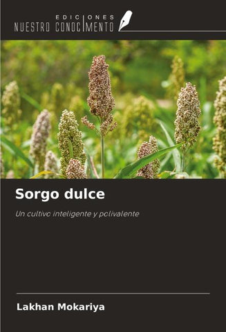 Sorgo dulce