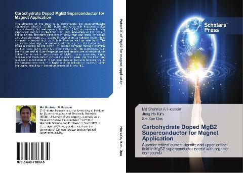 Carbohydrate Doped MgB2 Superconductor for Magnet Application
