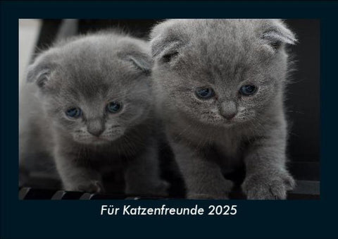 Für Katzenfreunde 2025 Fotokalender DIN A5