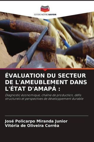 ÉVALUATION DU SECTEUR DE L'AMEUBLEMENT DANS L'ÉTAT D'AMAPÁ :