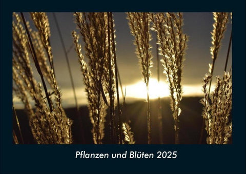 Pflanzen und Blüten 2025 Fotokalender DIN A4
