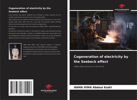 Cogeneration of electricity by the Seebeck effect
