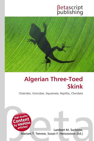 Algerian Three-Toed Skink
