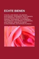 Echte Bienen