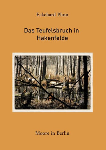 Das Teufelsbruch in Hakenfelde