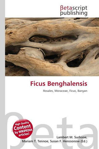 Ficus Benghalensis