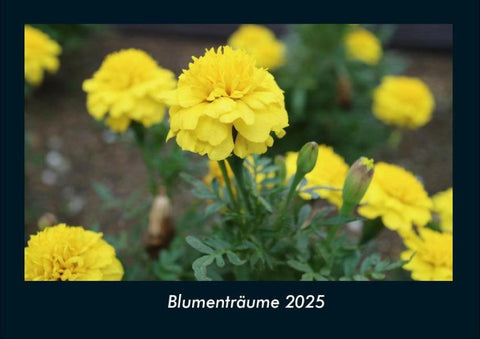 Blumenträume 2025 Fotokalender DIN A4