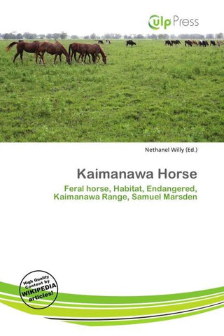 Kaimanawa Horse