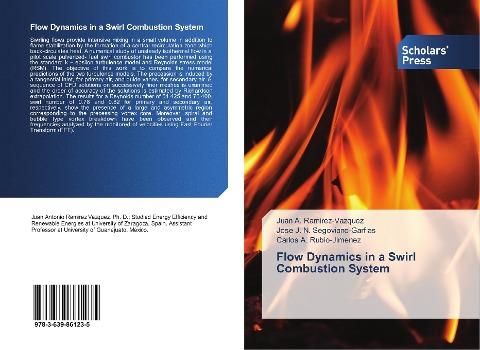 Flow Dynamics in a Swirl Combustion System