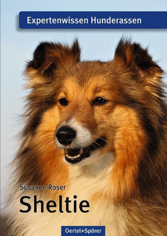 Sheltie