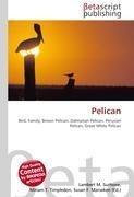 Pelican