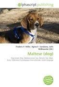 Maltese (dog)