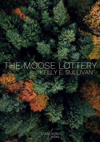 The Moose Lottery
