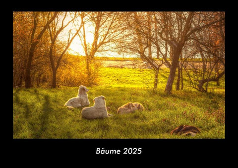 Bäume 2025 Fotokalender DIN A3