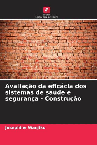 Avaliação da eficácia dos sistemas de saúde e segurança - Construção