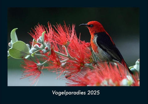 Vogelparadies 2025 Fotokalender DIN A4