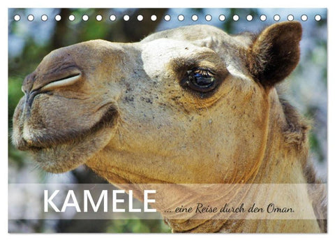 KAMELE... eine Reise durch den Oman. (Tischkalender 2026 DIN A5 quer), CALVENDO Monatskalender