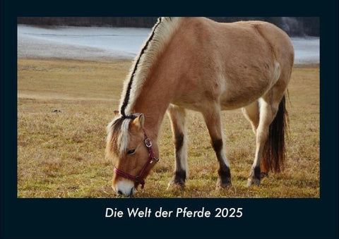 Die Welt der Pferde 2025 Fotokalender DIN A4