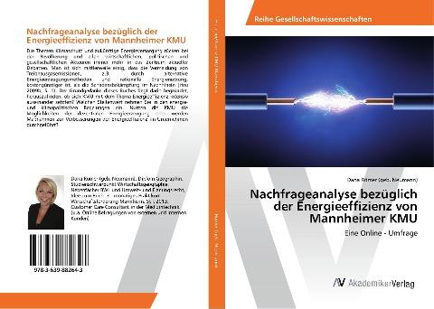 Nachfrageanalyse bezüglich der Energieeffizienz von Mannheimer KMU