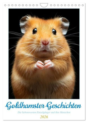 Goldhamster Geschichten (Wandkalender 2026 DIN A4 hoch), CALVENDO Monatskalender