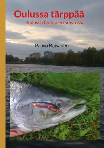 Oulussa tärppää