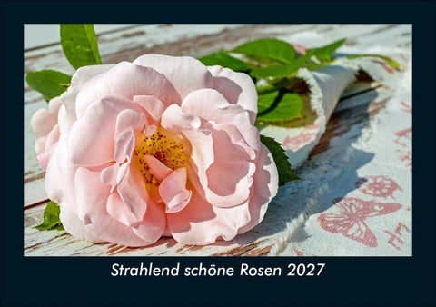Strahlend schöne Rosen 2027 Fotokalender DIN A5