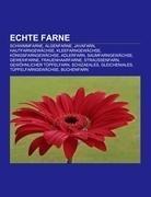 Echte Farne