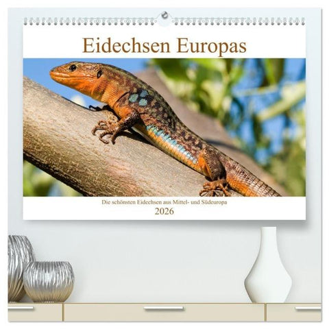 Eidechsen Europas (hochwertiger Premium Wandkalender 2026 DIN A2 quer), Kunstdruck in Hochglanz