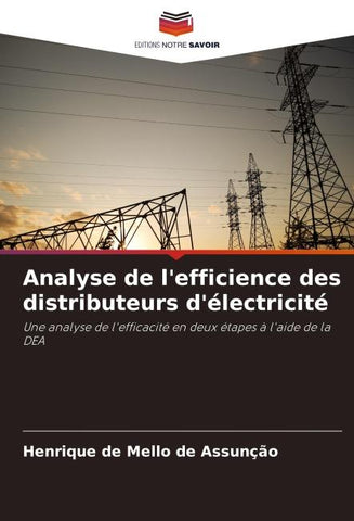 Analyse de l'efficience des distributeurs d'électricité